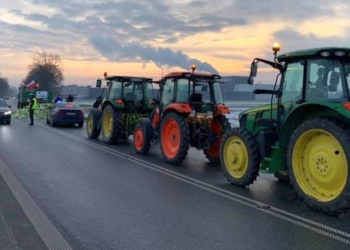 В Польше началось агровосстание из-за украинского импорта – фермеры грозятся идти на Варшаву