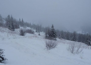 В Карпатах нашли мертвого туриста, второго – доставили в больницу
