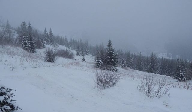 В Карпатах нашли мертвого туриста, второго – доставили в больницу