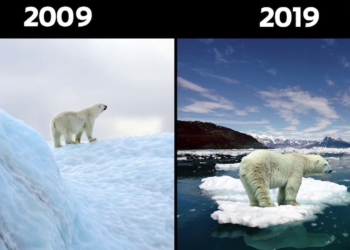 Экологи тоже приняли участие в 10YearChallenge и показали, что потеряла планета за 10 лет