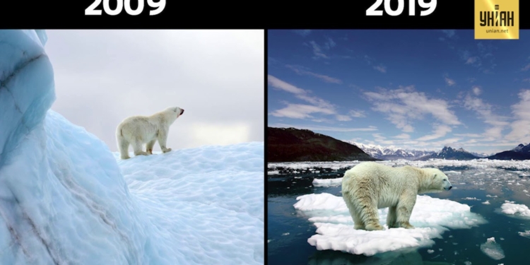 Экологи тоже приняли участие в 10YearChallenge и показали, что потеряла планета за 10 лет