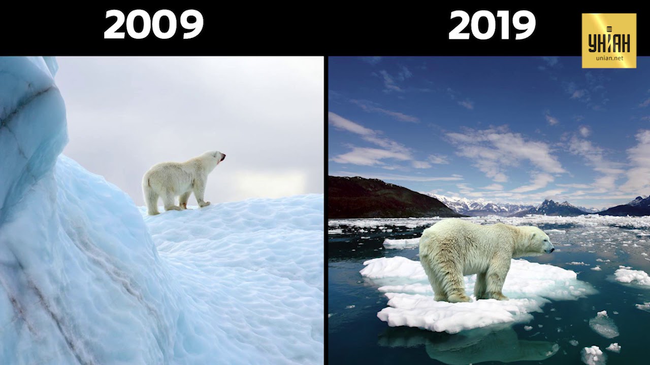 Экологи тоже приняли участие в 10YearChallenge и показали, что потеряла планета за 10 лет