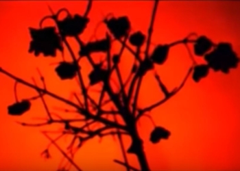 Столетие первых киборгов. Сегодня День памяти героев Крут