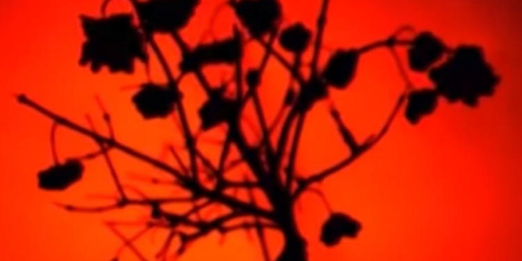 Столетие первых киборгов. Сегодня День памяти героев Крут