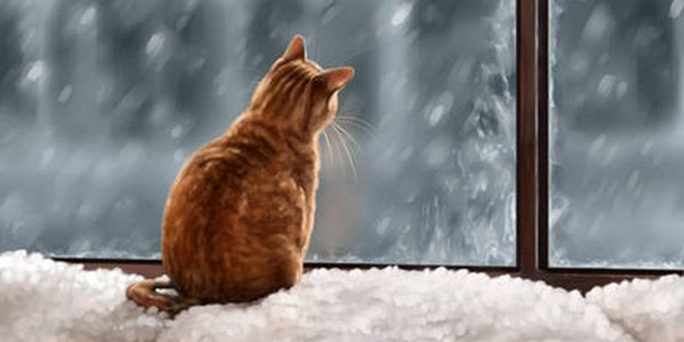 Завтра в Украине небольшой снег с дождем, температура до +6