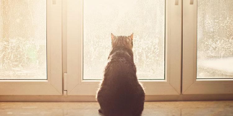 Завтра в Украине небольшой снег с дождем, температура до +6