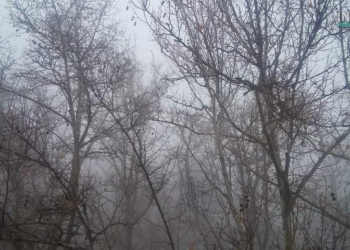 Завтра в Украине небольшой дождь и туман, температура до +11