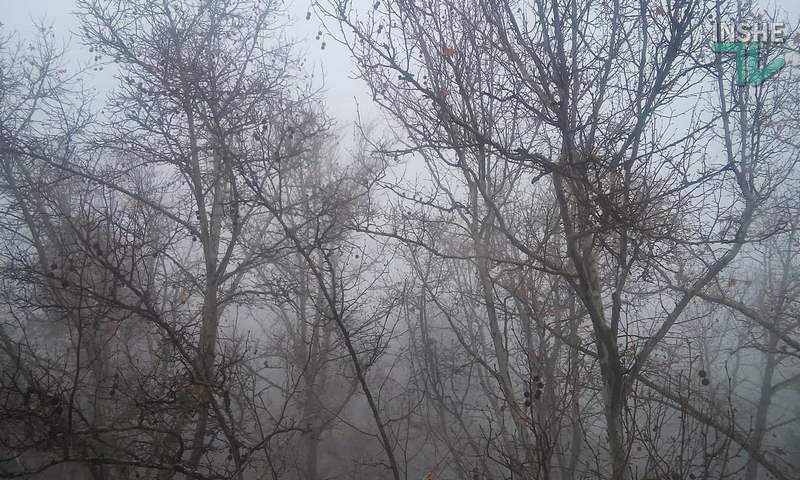 Завтра в Украине небольшой дождь и туман, температура до +11 1