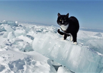 Завтра в Украине без осадков, температура до +5