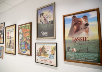 В Нью-Йорке откроется необычный музей, посвященный собакам