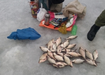 За один день Николаевский рыбоохранный патруль насчитал нарушений на 8,5 тыс. грн.