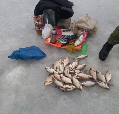 За один день Николаевский рыбоохранный патруль насчитал нарушений на 8,5 тыс. грн.