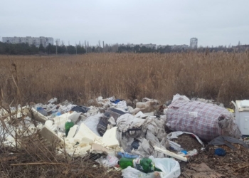 Очистить от мусора озеро в николаевском парке «Лески» должны сегодня