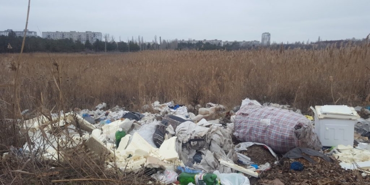 Очистить от мусора озеро в николаевском парке «Лески» должны сегодня