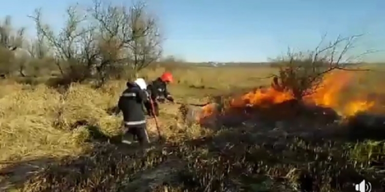 Под Гурьевкой горит почти 5 га камыша. Спасатели уверены, что его подожгли специально