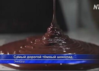 Самый дорогой в мире темный шоколад делают в Эквадоре