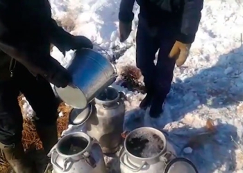 В Казахстане перевернулся спиртовоз, народ с ведрами бросился запасаться