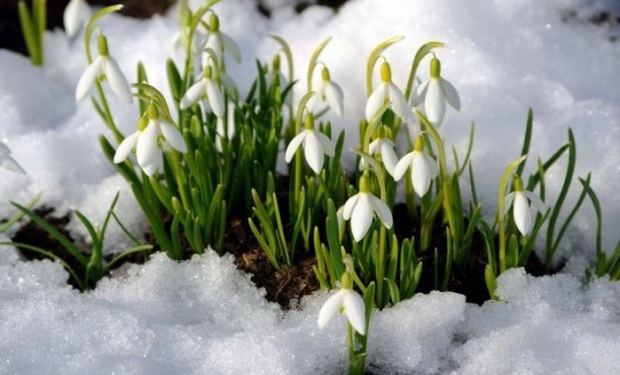 Народный синоптик Леонид Горбань: «Весна будет поздней»