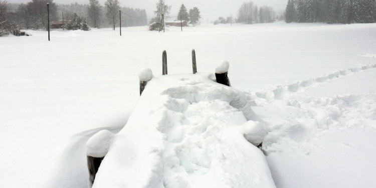 Когда «Здесь рыбы нет» как лозунг: появились желающие провести чемпионат мира по зимней рыбалке в поле