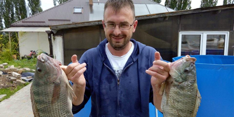 Выгодный бизнес для нашего региона. Как можно заработать на выращивании рыбы и креветки