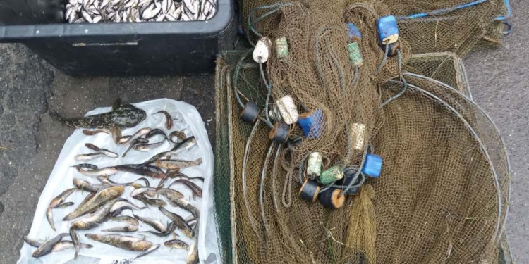 Николаевский рыбоохранный патруль с пограничниками задержал браконьера на незаконном лове трехиглой колюшки