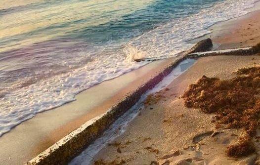 Это знак! На пляже Флориды обнаружили 6-метровый деревянный крест