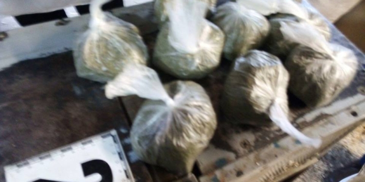 На Николаевщине у мужчины нашли 1,5 кг конопли – он убеждал, что это ему надо для подкормки пчел