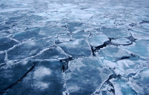 В Киеве спасли подростка, который оказался на отколотой льдине посреди воды