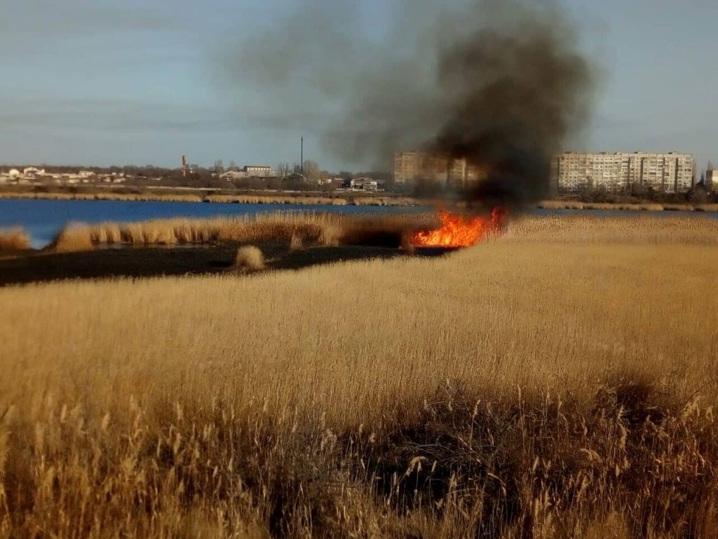 Пожар камыша на Николаевщине едва не перекинулся на жилые дома и гаражи 1