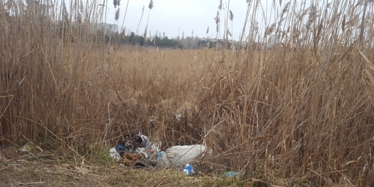 Николаевские коммунальщики приступили к уборке свалок в парке “Лески”