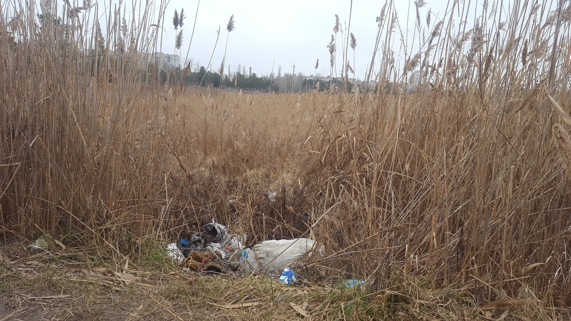 Николаевские коммунальщики приступили к уборке свалок в парке “Лески”