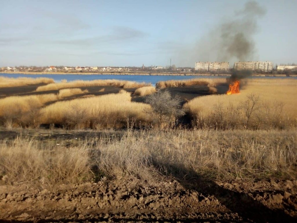 Пожар камыша на Николаевщине едва не перекинулся на жилые дома и гаражи 13