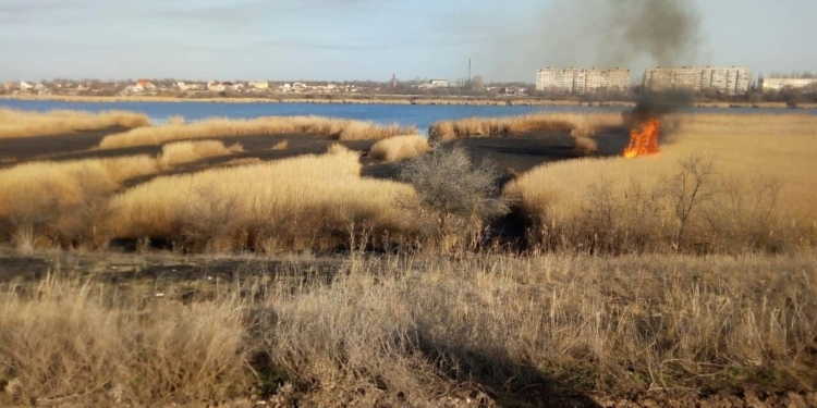 Пожар камыша на Николаевщине едва не перекинулся на жилые дома и гаражи