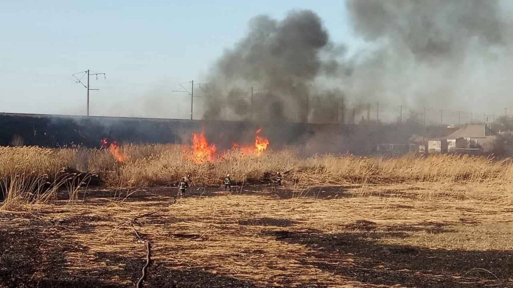 Пожар камыша на Николаевщине едва не перекинулся на жилые дома и гаражи 7
