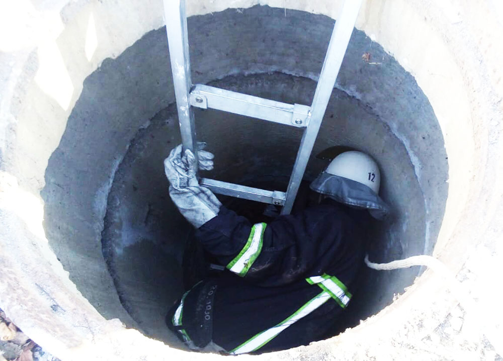 Спасатели выручили собаку, которая упала в двухметровую яму в Вознесенске 3