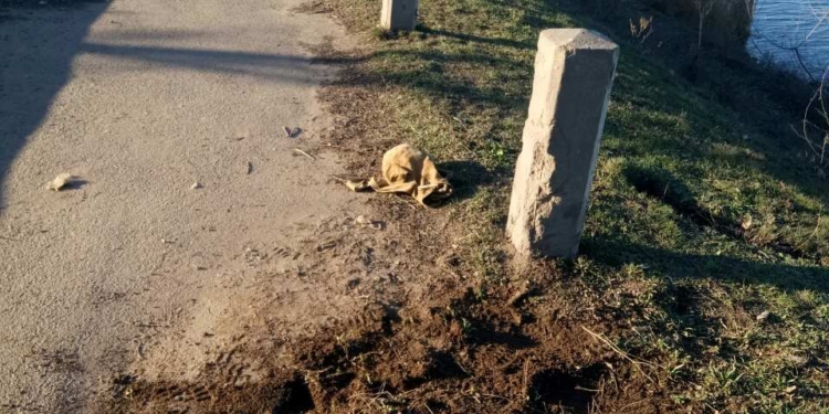 Опасный колодец “Укртелекома” у Варваровского моста теперь закрыт