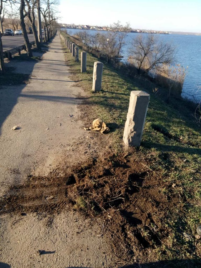 Опасный колодец "Укртелекома" у Варваровского моста теперь закрыт 3