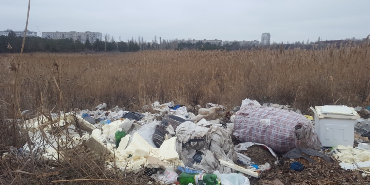 На Намыве озеро, куда прилетают водоплавающие птицы, засыпают мусором