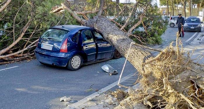 Ураганные ветры на побережье Италии и Хорватии привели к смерти трех людей