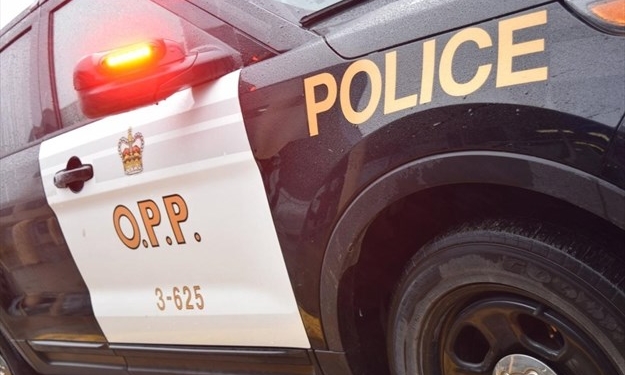 Канадские подростки переночевали в магазине, построив форт из туалетной бумаги