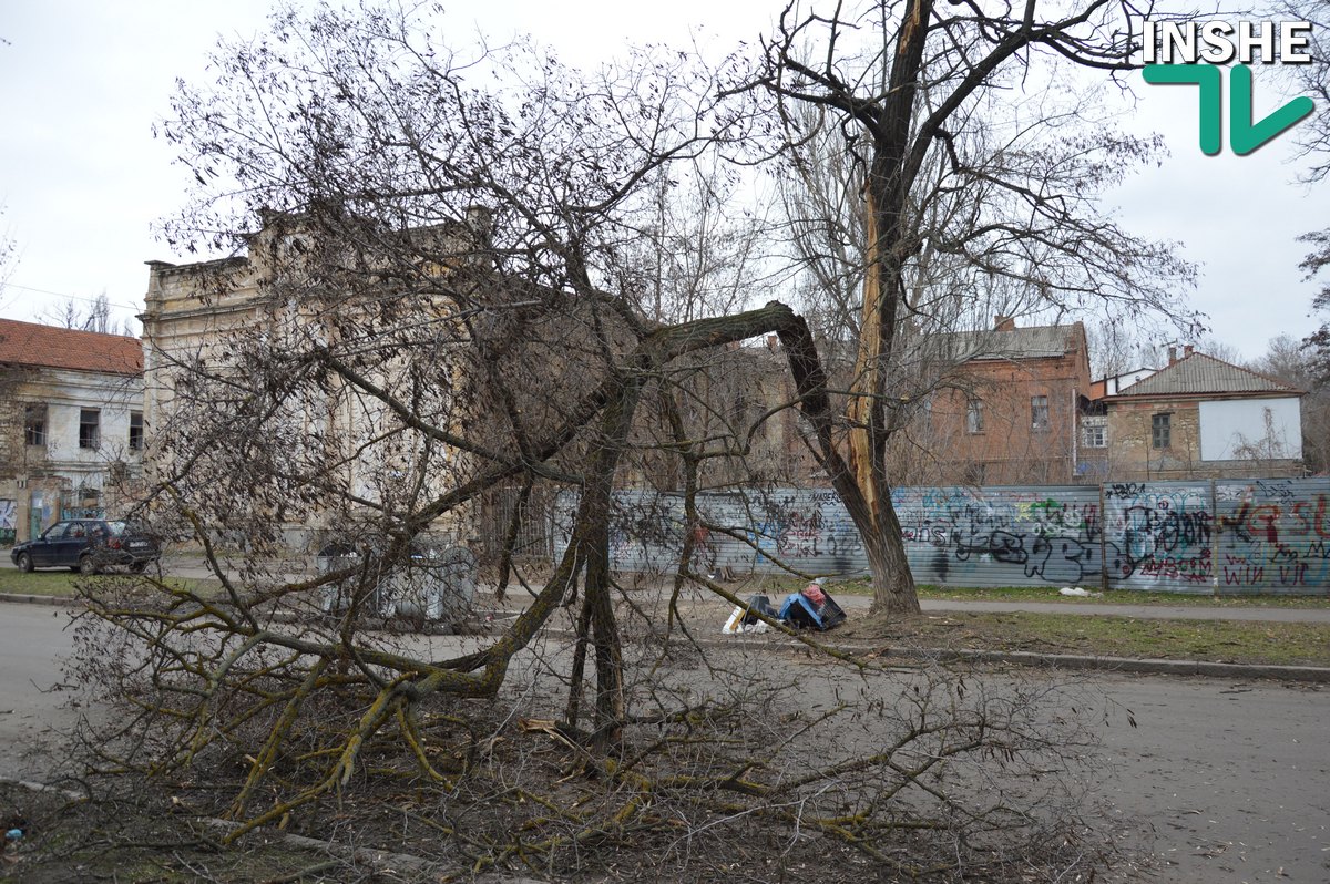 В Николаеве у акации откололась часть ствола с массивной веткой – проезд по Шнеерсона перекрыт