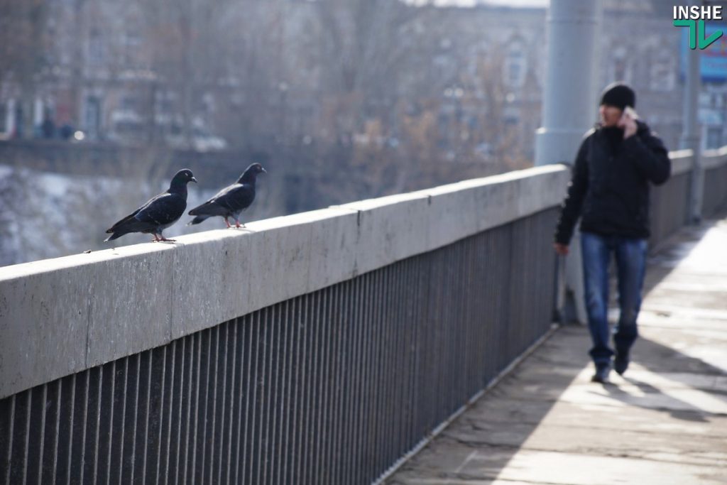 «Вам жизнь ваша дорога, или нет?»: беспечные горожане массово игнорировали предупреждения рабочих при разводке моста в Николаеве 29