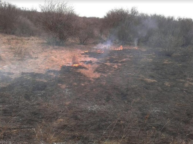 В Березнеговатском районе горела сухая трава и кустарники вдоль дороги 1