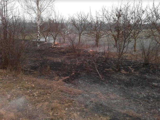 В Березнеговатском районе горела сухая трава и кустарники вдоль дороги 3