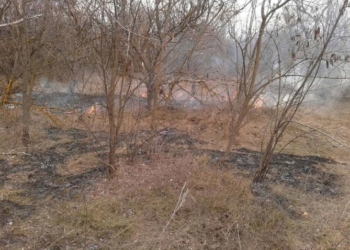 В Березнеговатском районе горела сухая трава и кустарники вдоль дороги