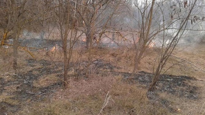 В Березнеговатском районе горела сухая трава и кустарники вдоль дороги