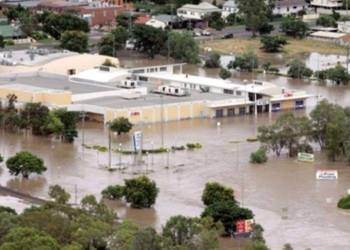 После мощнейшего наводнения в Австралии на улицах плавают крокодилы