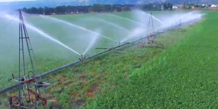Первомайские дождевальные машины – самые длинные в Украине. Теперь их ждут в Африке