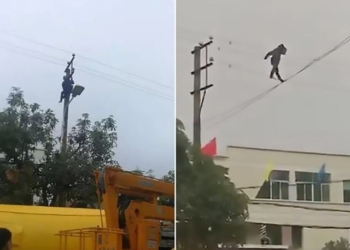 Пьяный китаец гулял по электропроводам на высоте 10 м, пока спасатели не столкнули его вниз