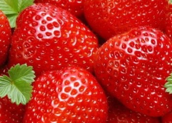 В США пытались ввезти метамфетамина на 13 млн. долларов, спрятав его в мороженной клубнике